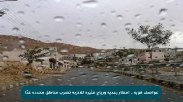 عواصف قوية.. أمطار رعدية ورياح مثيرة للأتربة تضرب مناطق محددة غدًا